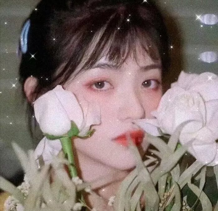 黄阿丽：小眼镜蛇